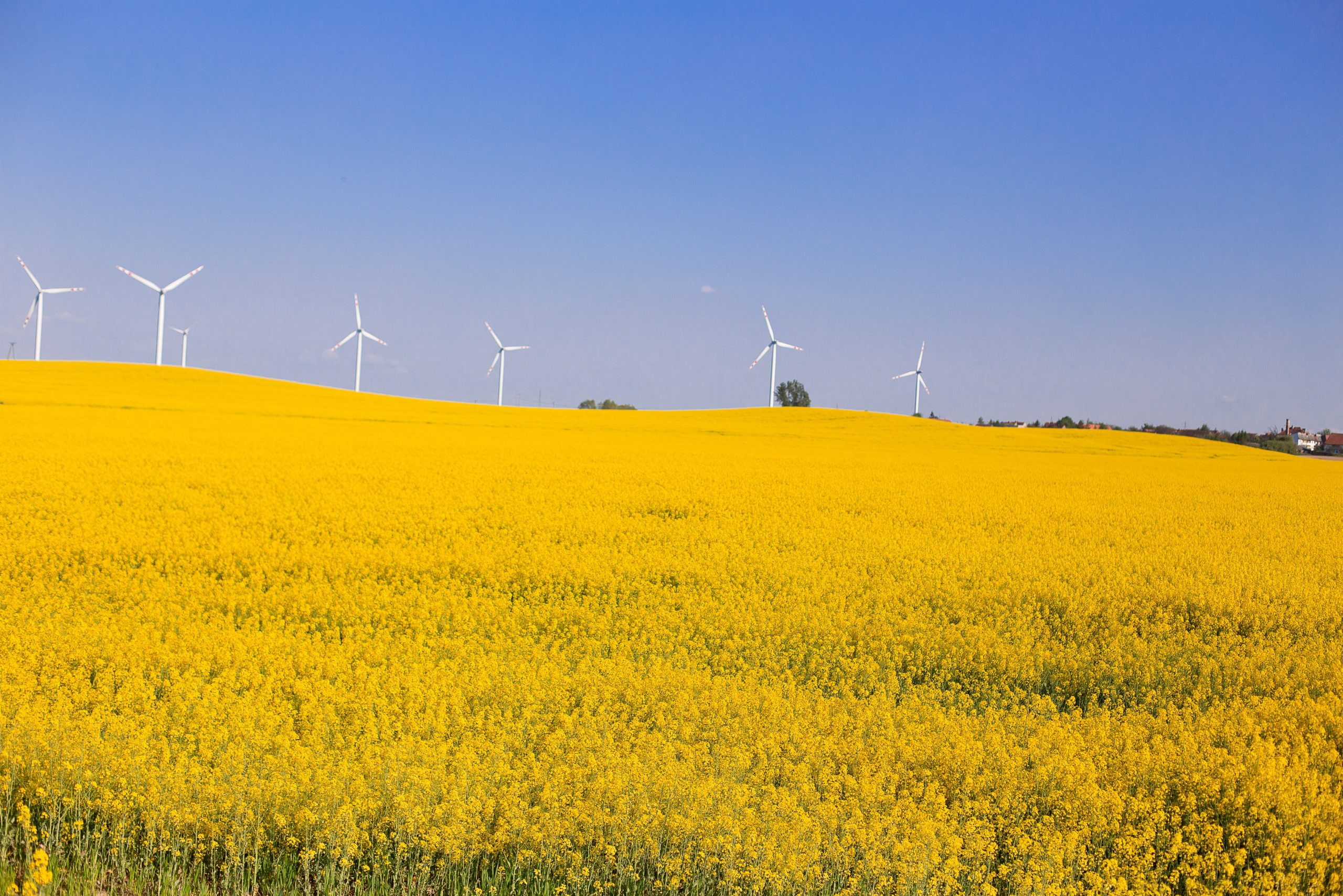 Investigarea terenului și predimensionarea fundațiilor unor turbine eoliene pe terenuri dificile în zona Buzău